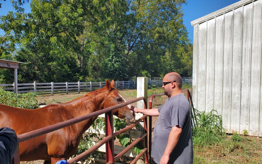 Honest Imagination: Alton